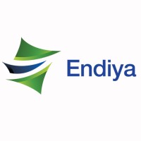 Endiya Partners logo - Similar company to Pulse