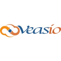 veasio logo - Similar company to Micrologik