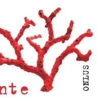 Associazione Culturale Premio Elsa Morante