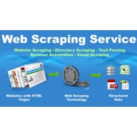 Web Scraping Services logo - Similar company to Web Scraping Expert