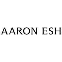 AARON ESH logo - Similar company to Soop Soop