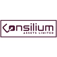 Consilium Assets logo - Similar company to Chat Leap