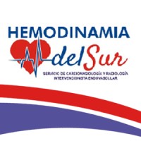 Hemodinamia del Sur logo - Similar company to Infodash
