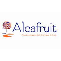 ALCAFRUIT (S.C.A PRODUCTORES DEL CAMPO) logo - Similar company to Agronostrum S.L