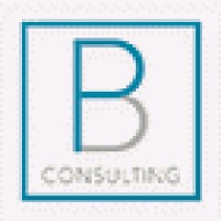 Broad Perspective Consulting