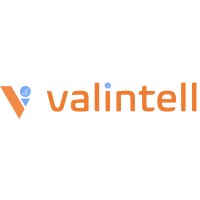 Valintell Solutions LLP logo - Similar company to Drait Solutions