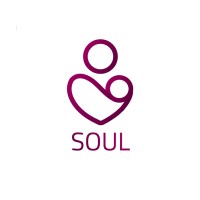 Soul logo - Similar company to R.A.Sh Tronics Ltd