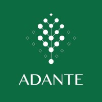 PLATAFORMA CAE ADANTE logo - Similar company to 6Conecta A Nalanda Company