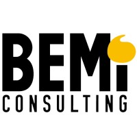 BEMi Consulting logo - Similar company to Emonster, Inc.