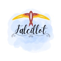 Falcillot Consulting logo - Similar company to Samas