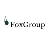 FoxGroup - Cabinet de recrutement multi-specialiste logo - Similar company to Joomy - Expert En Recrutement Rh