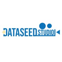 DS Studio logo - Similar company to Ic Studios