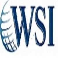 WSI - Agence marketing digital - Développement sur mesure d’applications web logo - Similar company to Les Enchanteurs