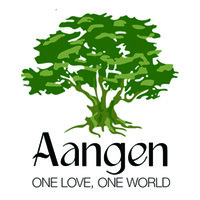 Aangen logo - Similar company to 321Datapro Inc.