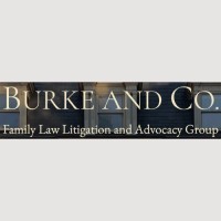 Burke and Co. Family Law Litigation and Advocacy Group logo - Similar company to De Vries Litigation Llp