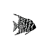 SCALES SwimSkins logo - Similar company to Scale Swimming
