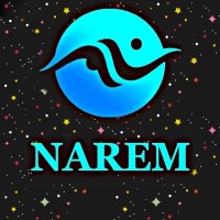 NAREM logo - Similar company to Soot App