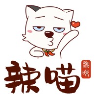 SpicyCat Group logo - Similar company to Makemelost