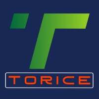 TORICE logo - Similar company to Thinkhub Technologies & Consulting