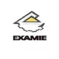 Iranian Exporters Association (EXAMIE) logo