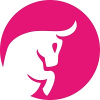 Leading Bull Solutions logo - Similar company to Bis Group