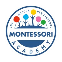 The Montessori Academy logo - Similar company to Montessori Craft
