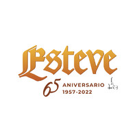 GUITARRAS ESTEVE logo - Similar company to Commonspace Technologies