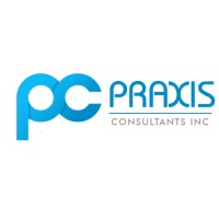 Praxis Consultants Inc logo - Similar company to Data Group