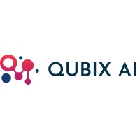 Qubix AI LLC logo - Similar company to Qubix Consulting