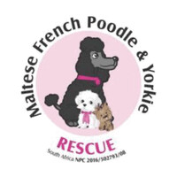Maltese, French Poodle and Yorkie Rescue Group South Africa logo - Similar company to Moxx House - Tiny House Üreticisi