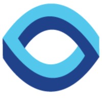 WiseVision logo - Similar company to Wise Vision
