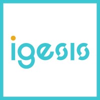 IGESIS logo - Similar company to Ceg Construction