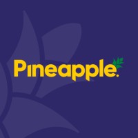 Pineapple | Digital Chartered Accountants logo - Similar company to Bramblebooks