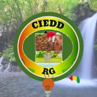 CIEDD-Guinée logo - Similar company to Argui Express Sarl