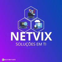 Netvix Soluções em TI logo - Similar company to Agetech Soluções Em Ti