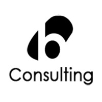 Berkovich Consulting logo - Similar company to Querifai