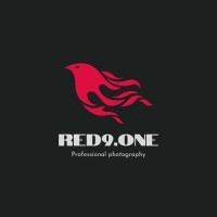 Red9 Premium Modelling logo - Similar company to Red9, Inc.