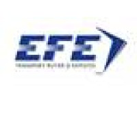 efe impex 72 srl