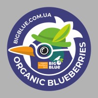 BigBlue organic blueberry farm logo - Similar company to Blueberry Farm Llc