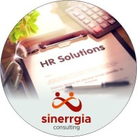 Sinerrgia Consulting logo - Similar company to Pace Financial Group