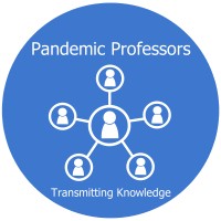 Pandemic Professors logo - Similar company to Codeify