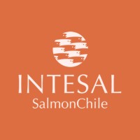 Intesal logo - Similar company to Aex Group