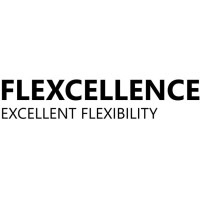 FLEXCELLENCE Excellent Flexibility logo - Similar company to Scale Management Consultants