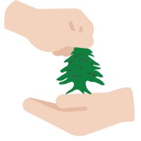 Reshape logo - Similar company to Coziya