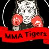 mmatigersdelhi logo - Similar company to Pryass 4 Jobs