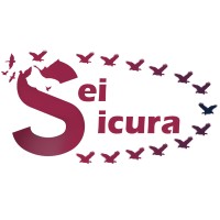 Progetto Sei Sicura- Marketing Sostenibile logo - Similar company to Alphateam