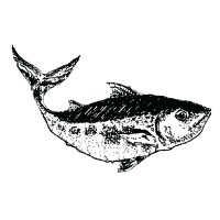 Kato Restaurant logo - Similar company to Table De Quartier Sud De L'Ouest-De-L'Île