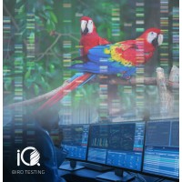 IQ Birdtesting logo - Similar company to Ypera Lifesciences™