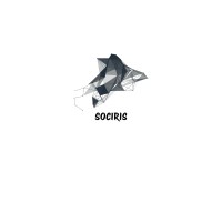 SOCIRIS logo - Similar company to Annaafi E-Pay