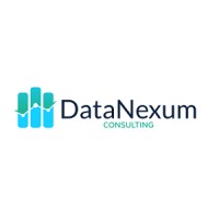 DataNexum Consulting logo - Similar company to Data Nexus